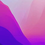 Workplace Search: What It Is, Use Cases, and Tips