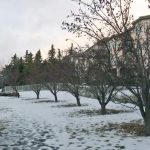 Calgary police seek public help in series of residential break-ins – Calgary