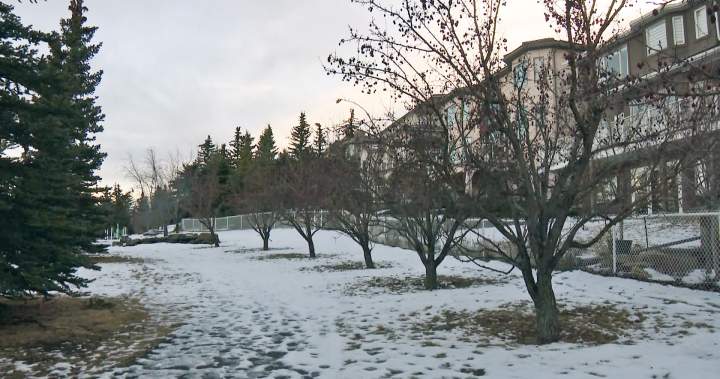 Calgary police seek public help in series of residential break-ins – Calgary