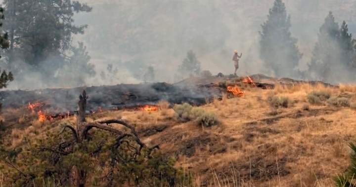 Okanagan communities plan prescribed burns to reduce wildfire risk – Okanagan
